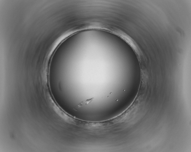 X0000112531148200908171415