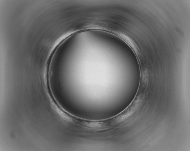 X0000112531149200908171415