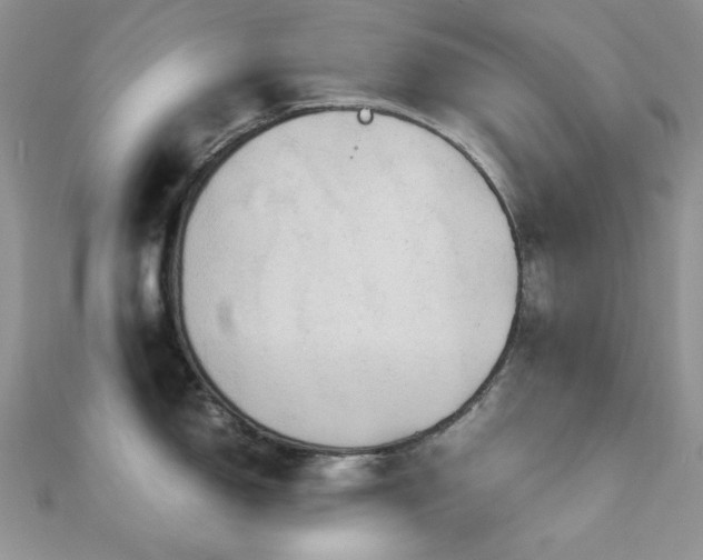 X0000112531150200908171415