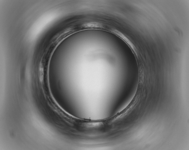 X0000112531151200908171415