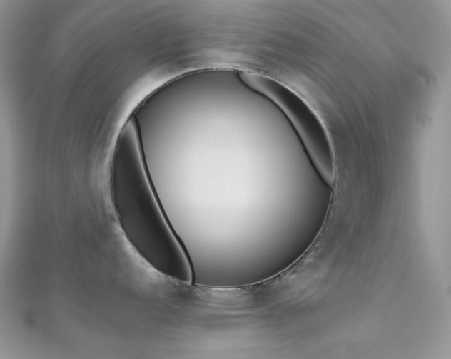 X0000112531152200908171415