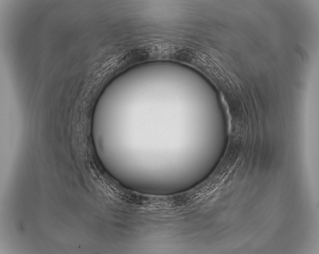 X0000112531153200908171415