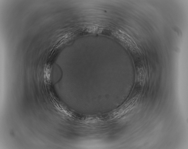X0000112531154200908171415