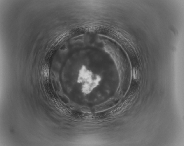X0000112531155200908171414
