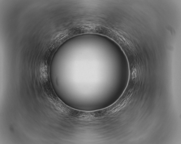 X0000112531156200908171414