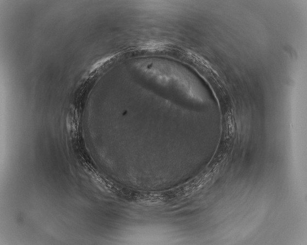 X0000112531158200908171414