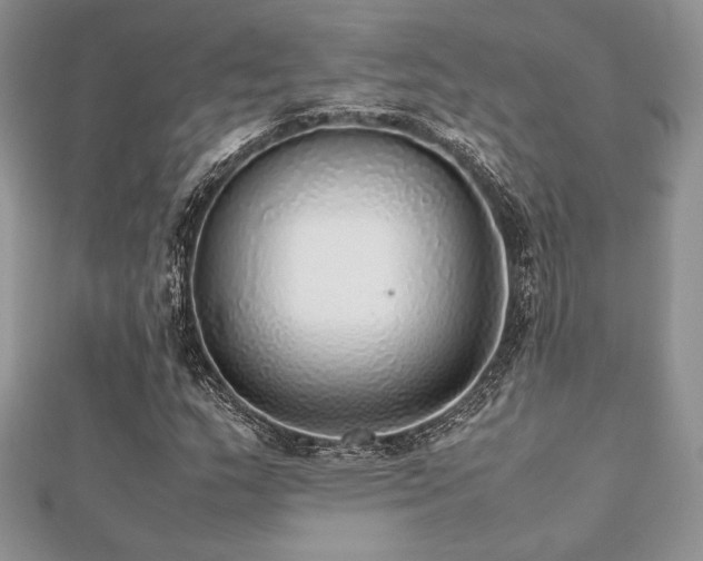 X0000112531159200908171414