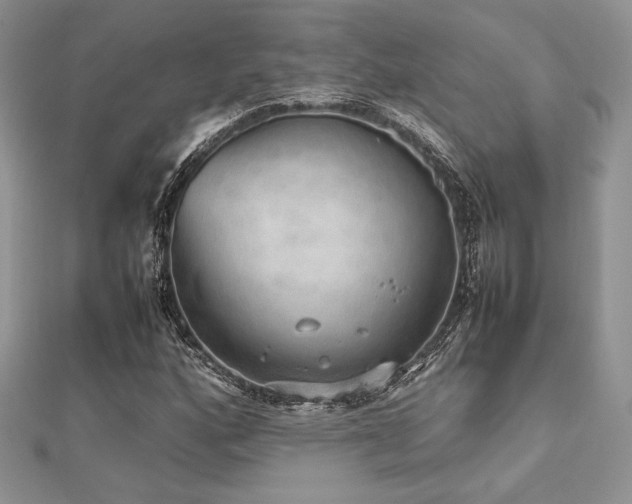 X0000112531160200908171414