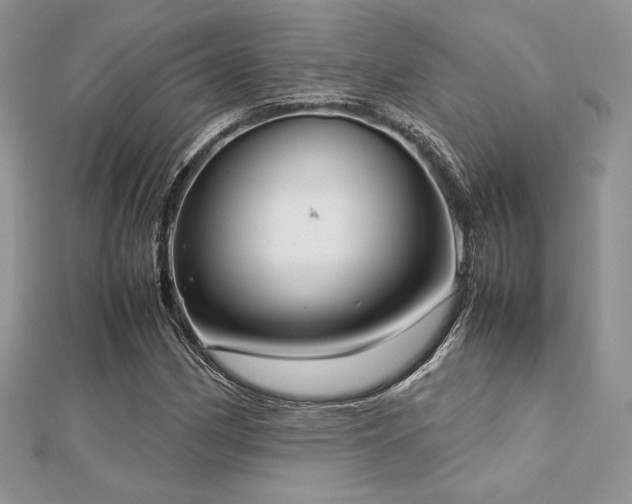 X0000112531162200908171414