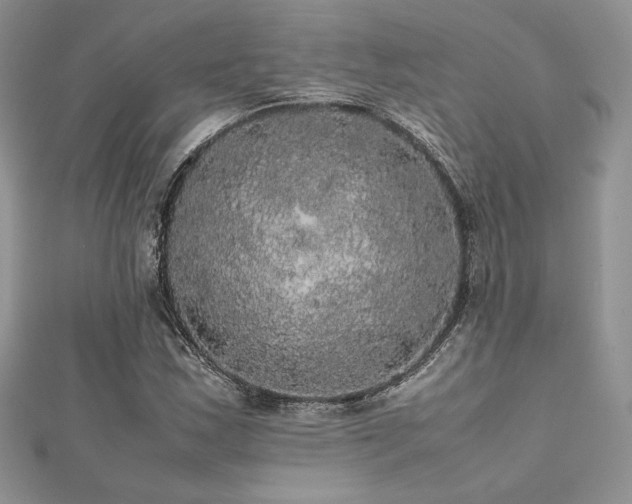X0000112531163200908171414