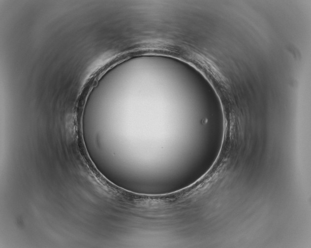 X0000112531164200908171414