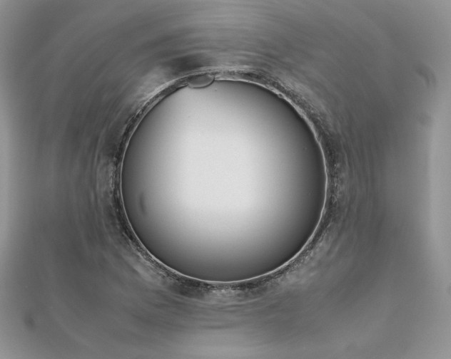 X0000112531169200908171414