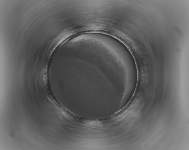 X0000112531170200908171414