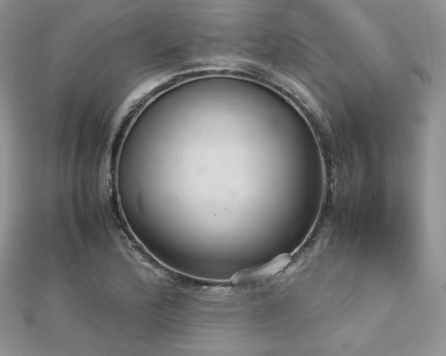 X0000112531172200908171414