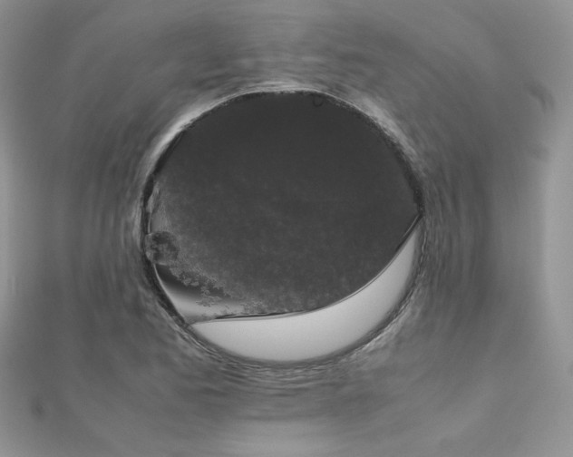 X0000112531173200908171414