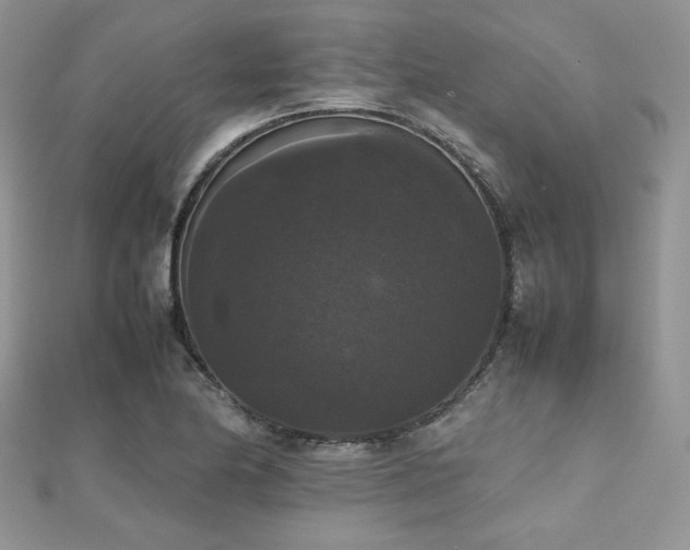 X0000112531174200908171414
