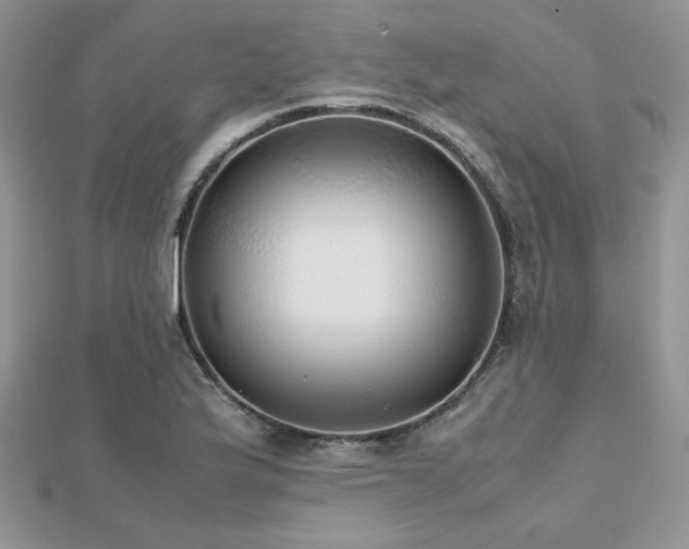 X0000112531175200908171414