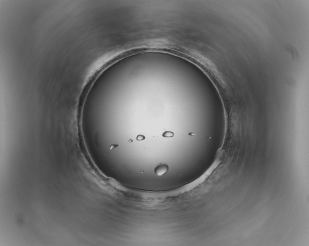 X0000112531176200908171414