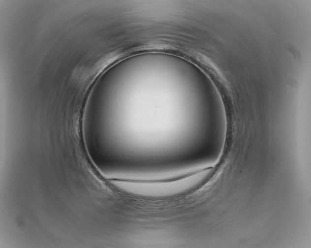 X0000112531177200908171414