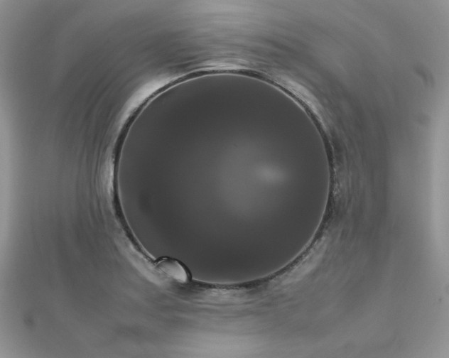 X0000112531179200908171414
