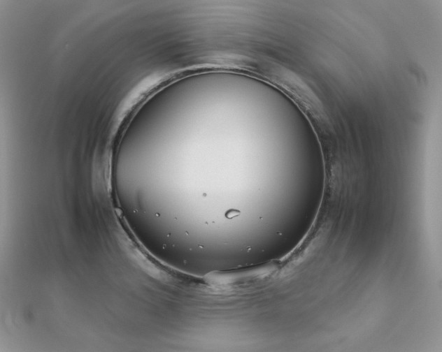 X0000112531180200908171414