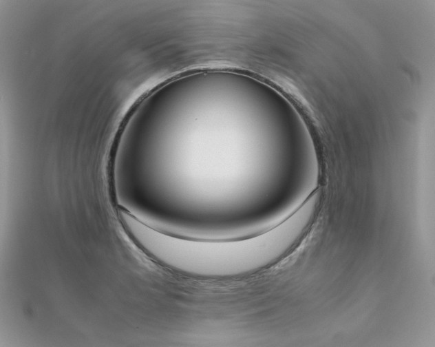 X0000112531181200908171414
