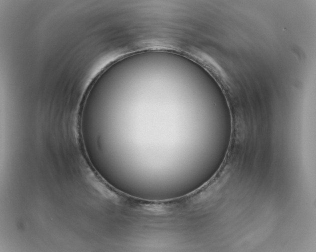 X0000112531182200908171414