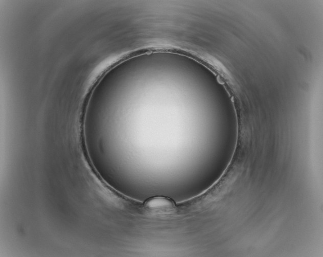 X0000112531183200908171414
