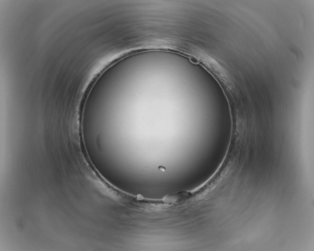 X0000112531184200908171414