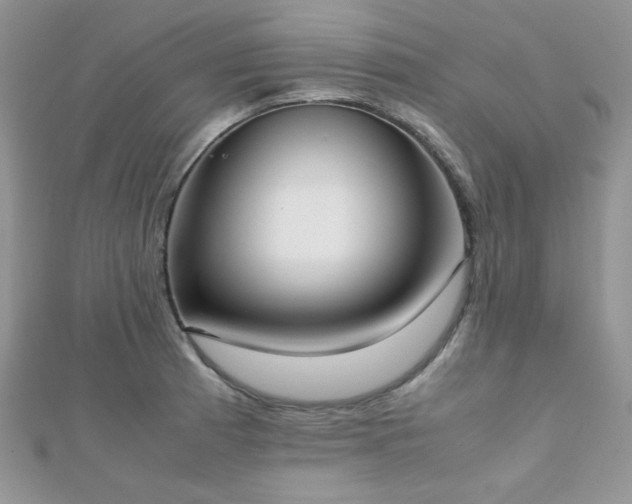 X0000112531185200908171414