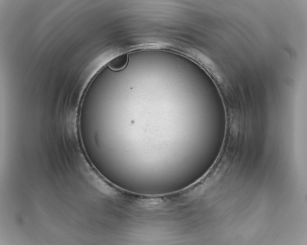 X0000112531186200908171414
