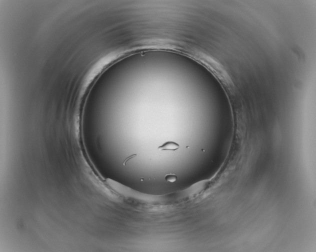 X0000112531188200908171414