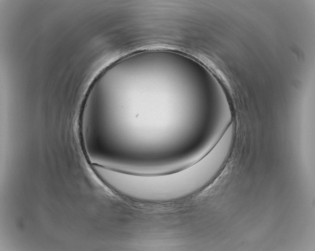 X0000112531189200908171414