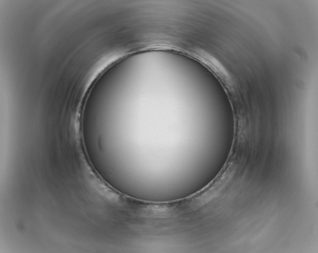 X0000112531190200908171414