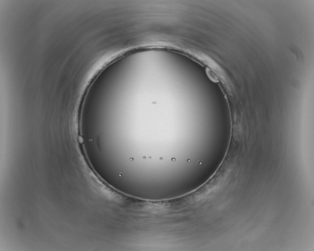 X0000112531191200908171414