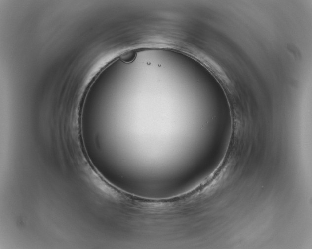 X0000112531192200908171414