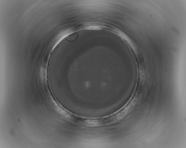 X0000112531194200908171414