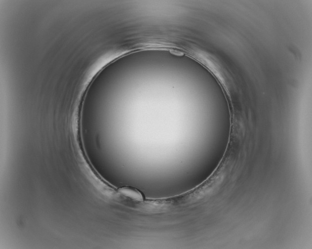 X0000112531195200908171414