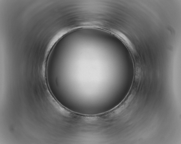 X0000112531196200908171414