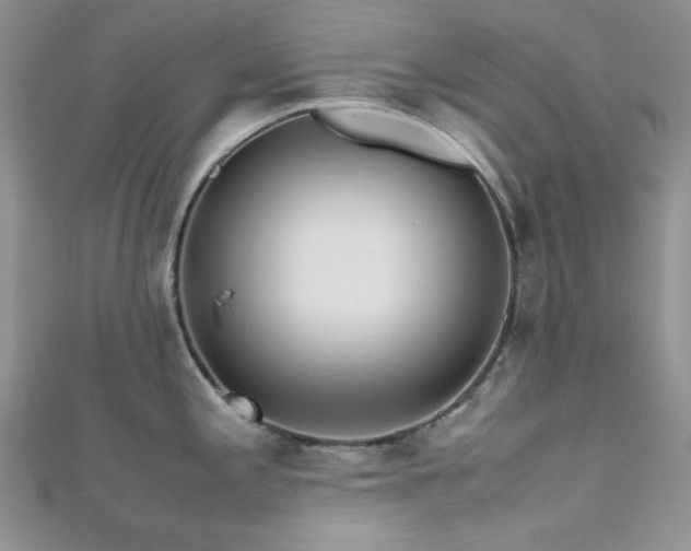X0000112531197200908171414