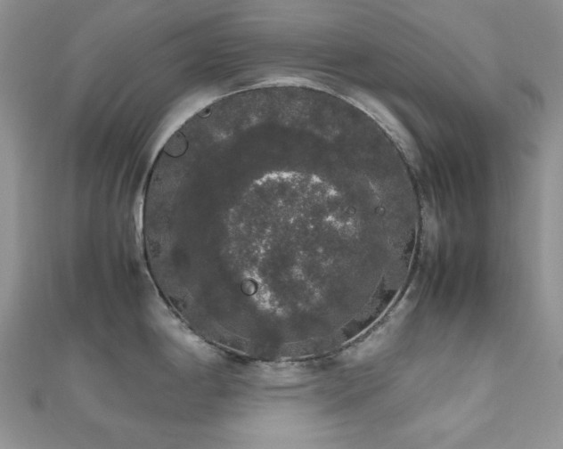 X0000112531198200908171414