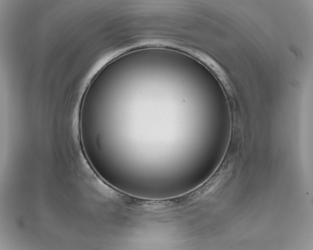 X0000112531199200908171414