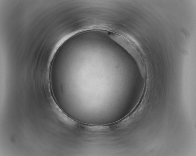 X0000112531200200908171414