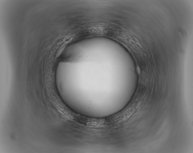 X0000112531201200908171413