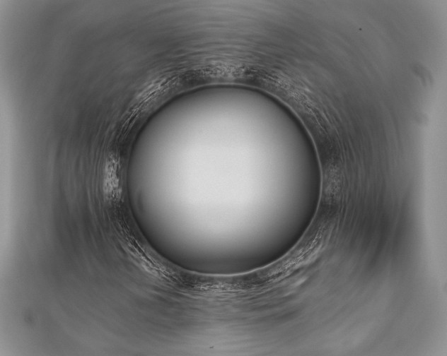 X0000112531202200908171413