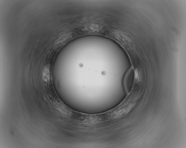 X0000112531203200908171413