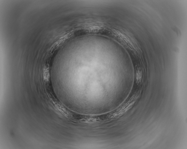 X0000112531204200908171413