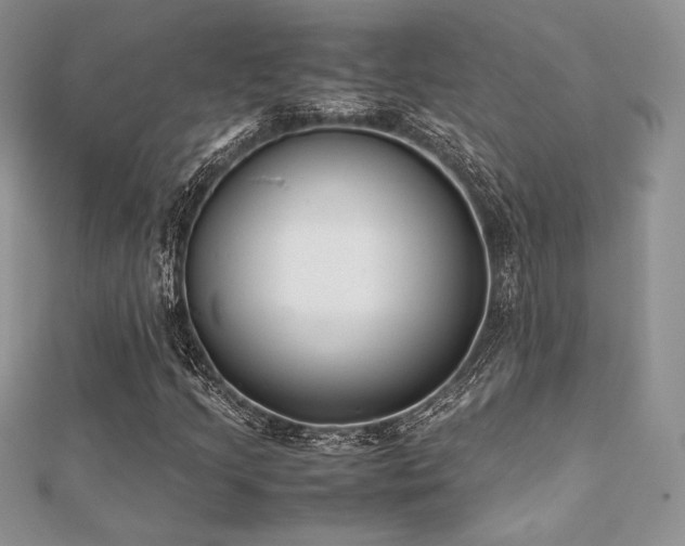 X0000112531205200908171413