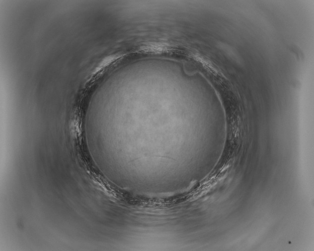 X0000112531206200908171413