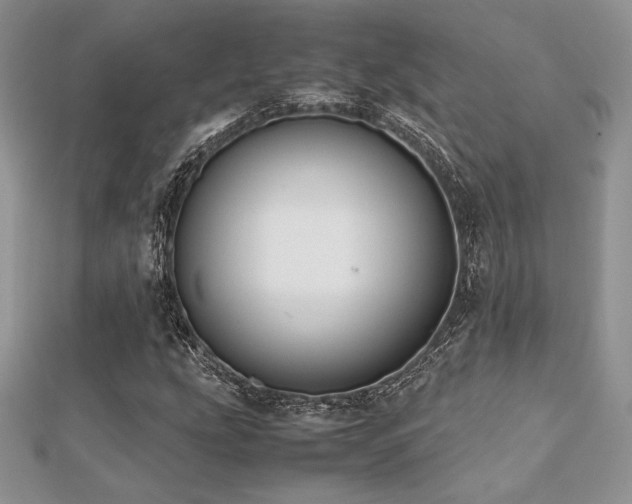 X0000112531207200908171413